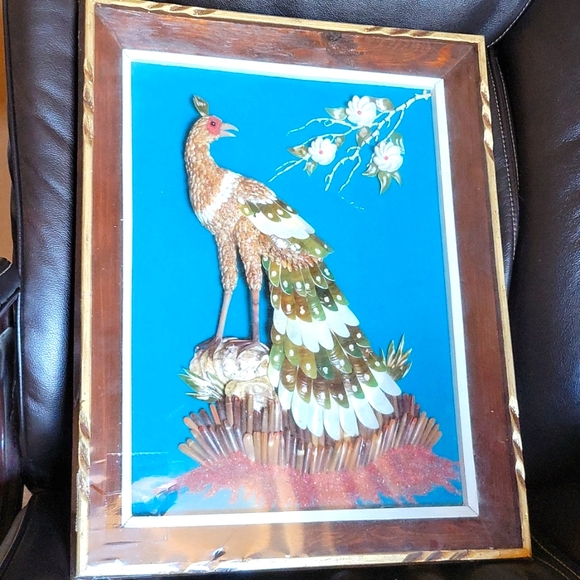 Seashell Peacock Framed Pucture - Picture 2 of 8